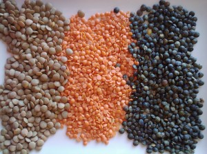 Colorful Lentil Beans